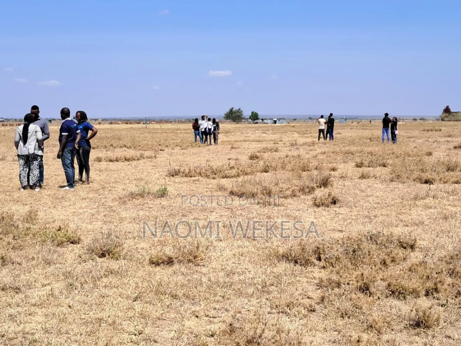 Kca Plots In Kitengela