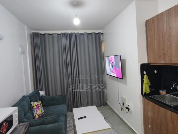 Furnished Studio Apartment in Roysambu for rent - main view