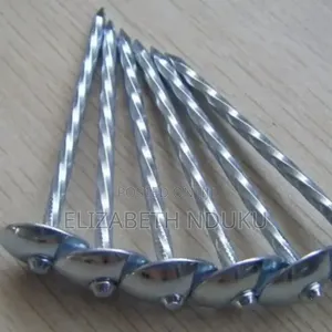 25kg Roofing Nail