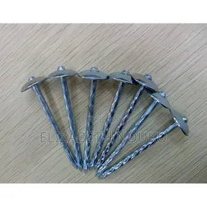 Construction Roofing Nail 25kg