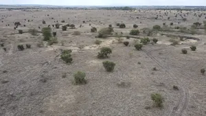10 Acres Per Acre