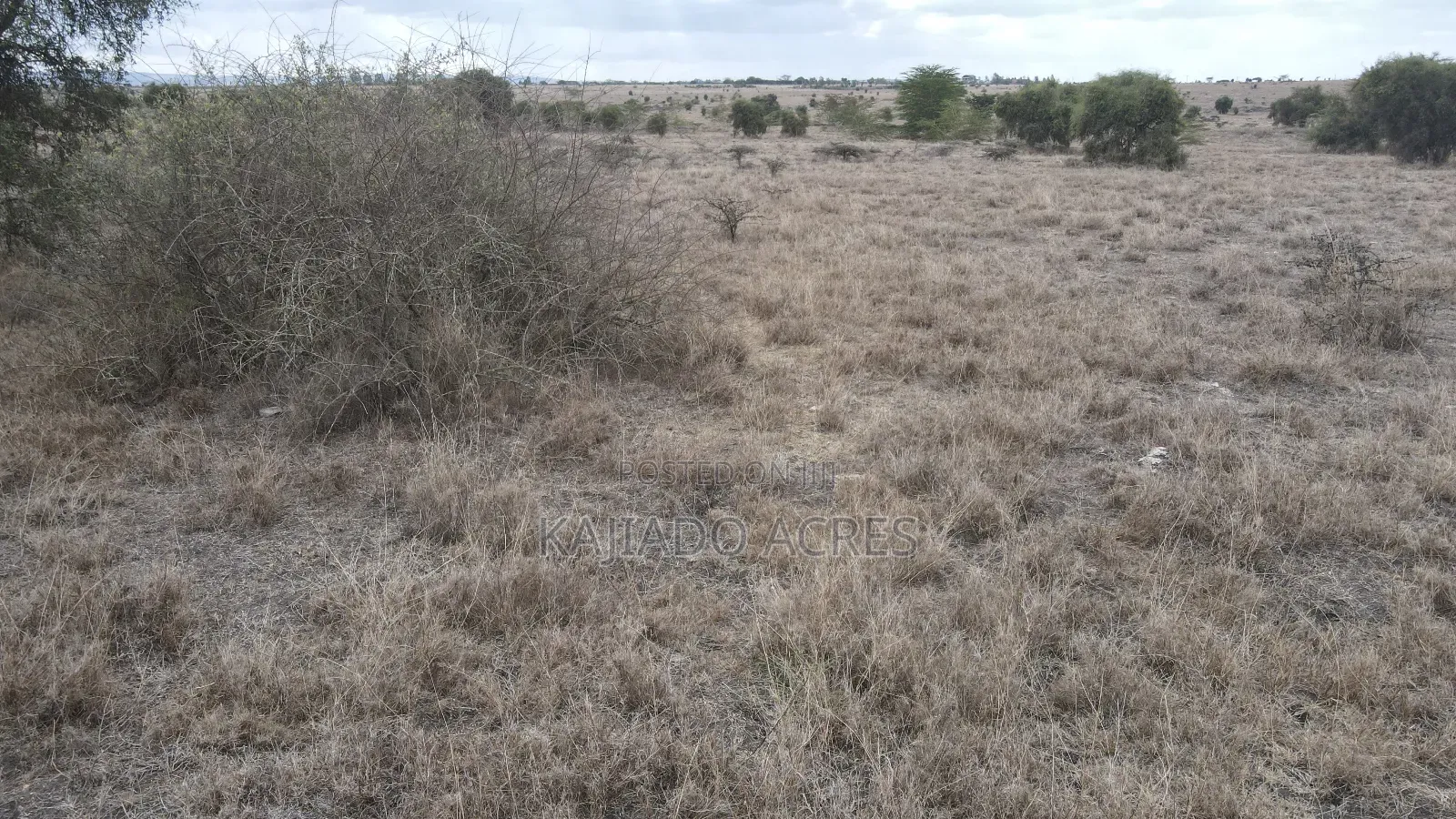 10 Acres Per Acre