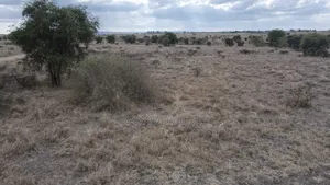 10 Acres Per Acre