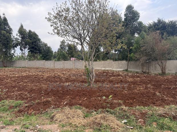 Affordable Plots for Sale - thumbnail 4