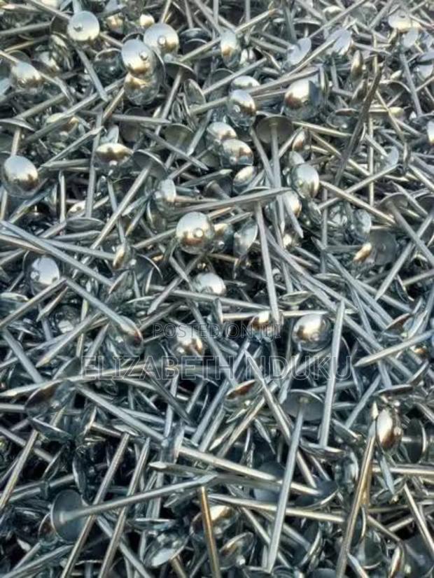 Long-Lasting Roofing Nails 25kg - main view