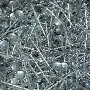 Standard Roofing Nails