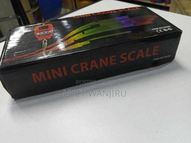 Mini Crane Scale - main view