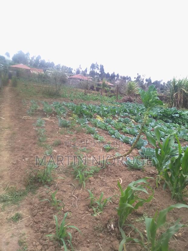 1⁄4 Escarpment - main view