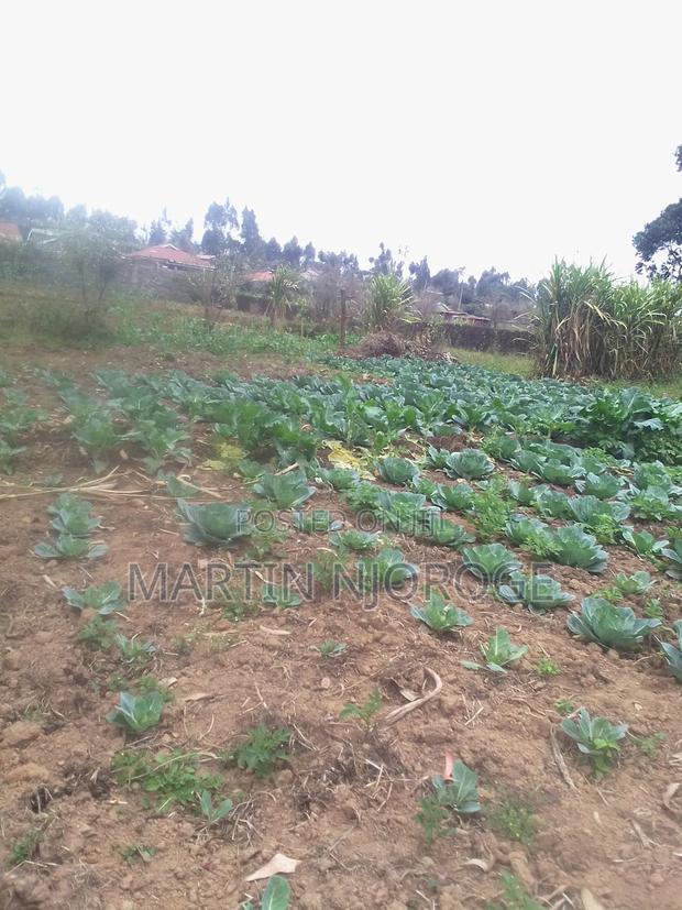 1⁄4 Escarpment - thumbnail 3