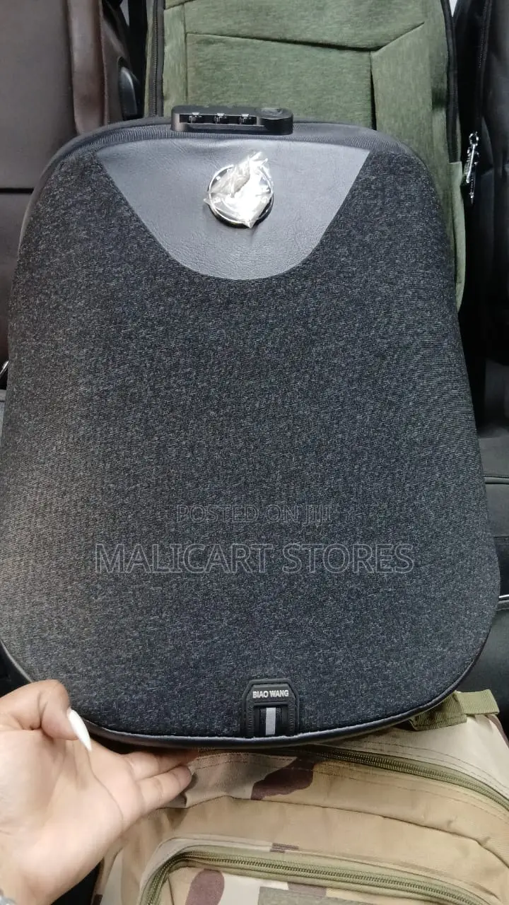 Biaowang Back Pack With Multiple Compartments