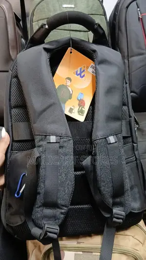 Biaowang Back Pack With Multiple Compartments