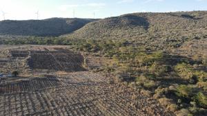 20 Acres Kipeto at Per Acre - thumbnail 2