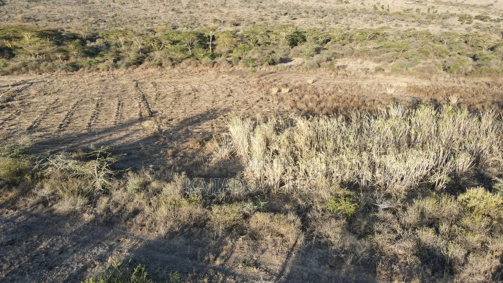 20 Acres Kipeto at Per Acre