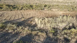 20 Acres Kipeto at Per Acre