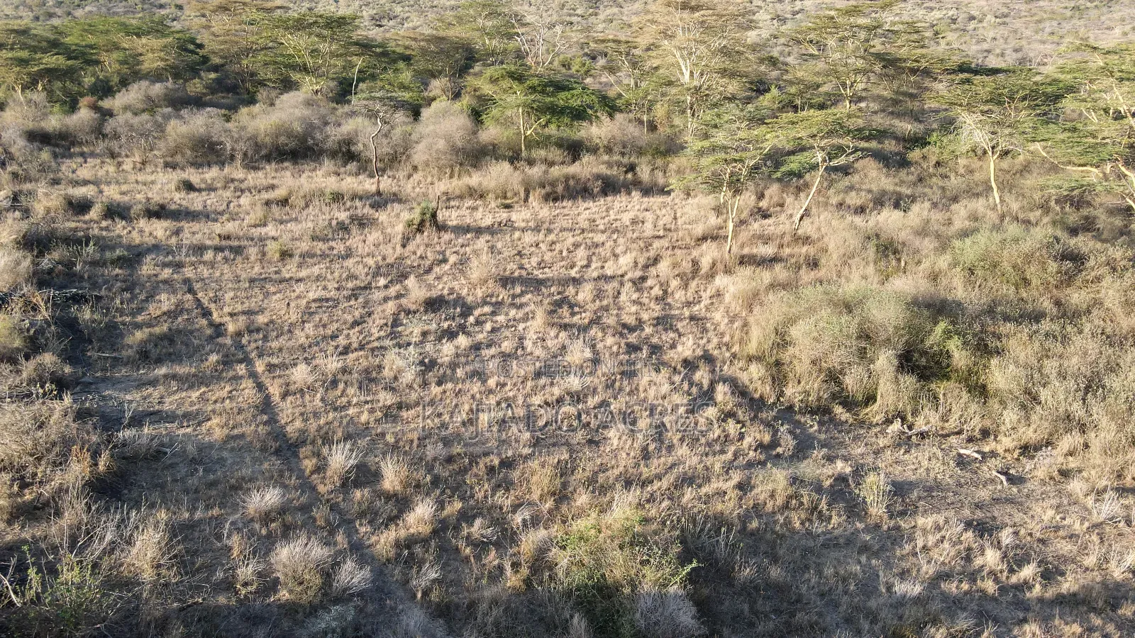 20 Acres Kipeto at Per Acre