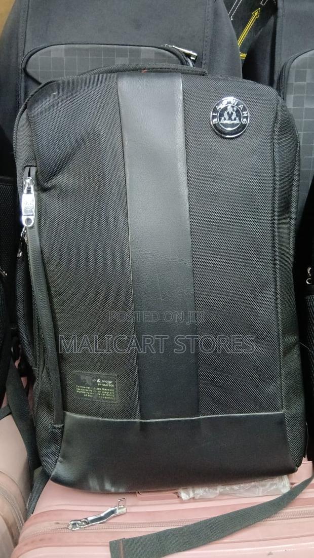 Biao Wang 15.6 Waterproof Anti Theft Large Capacity Travel Backpack - main view