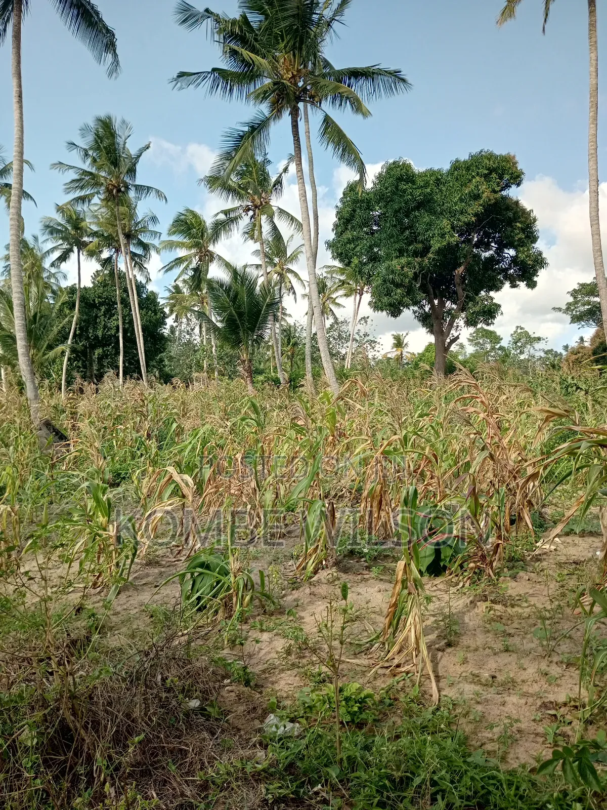 Land for Sale Kaloleni Vuga