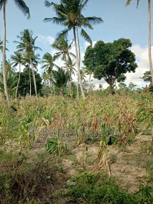 Land for Sale Kaloleni Vuga
