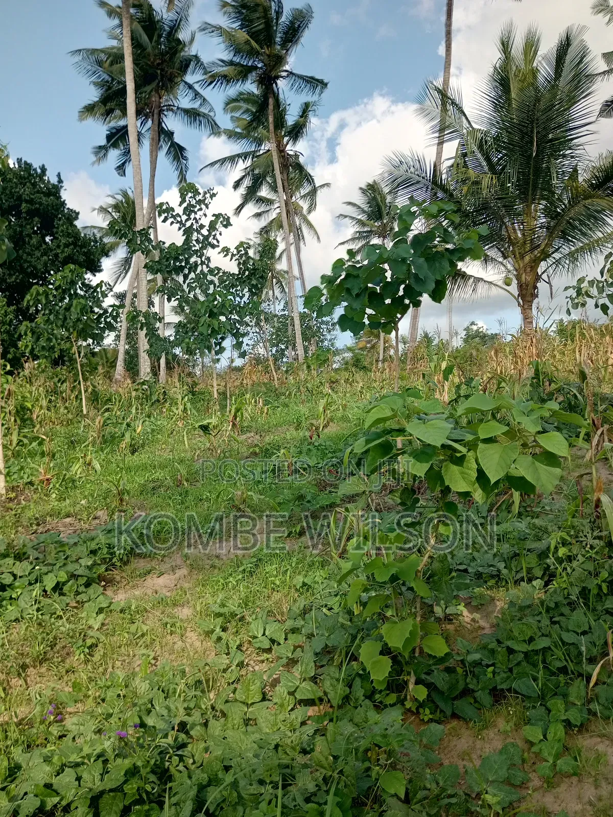Land for Sale Kaloleni Vuga