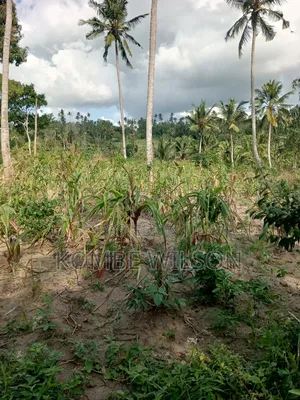 Land for Sale Kaloleni Vuga