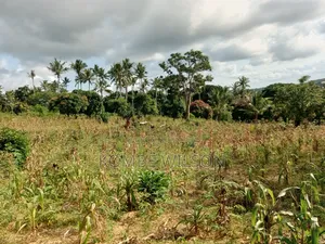 Land for Sale Kaloleni Vuga