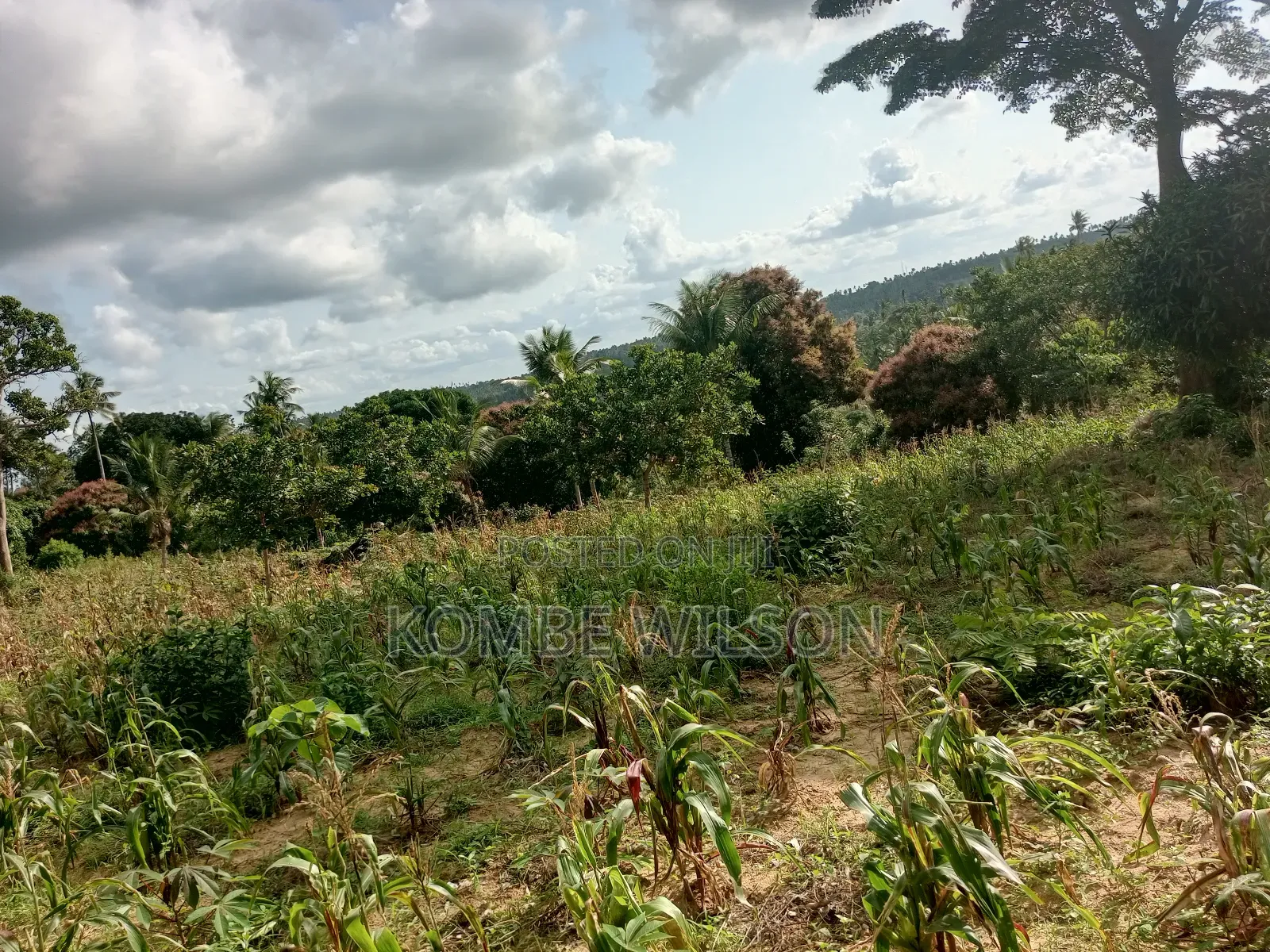 Land for Sale Kaloleni Vuga