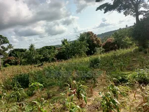 Land for Sale Kaloleni Vuga