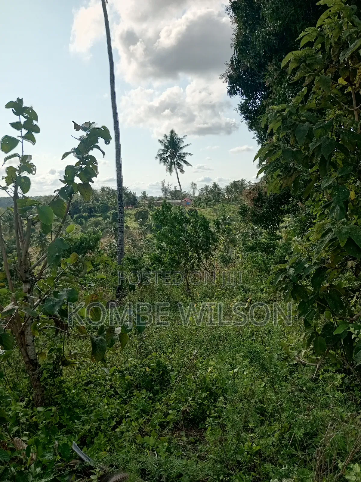 Land for Sale Kaloleni Vuga