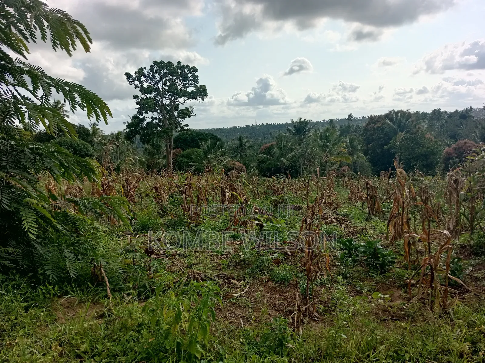 Land for Sale Kaloleni Vuga