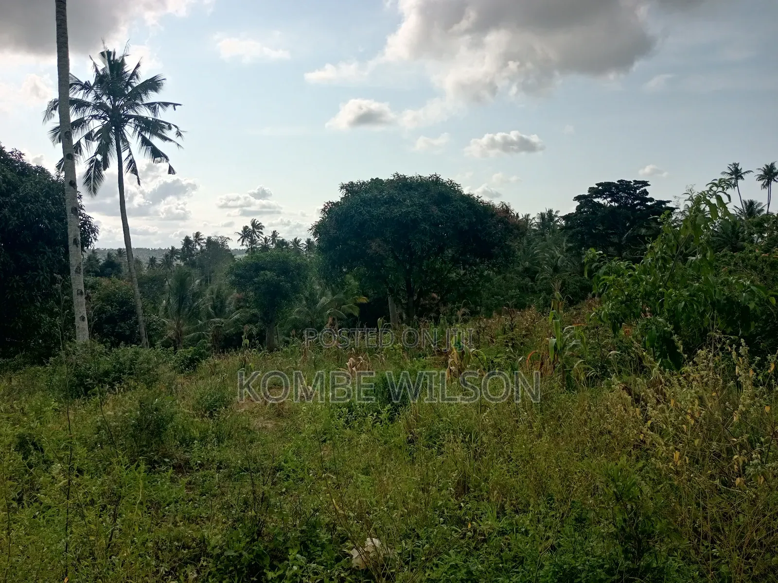 Land for Sale Kaloleni Vuga