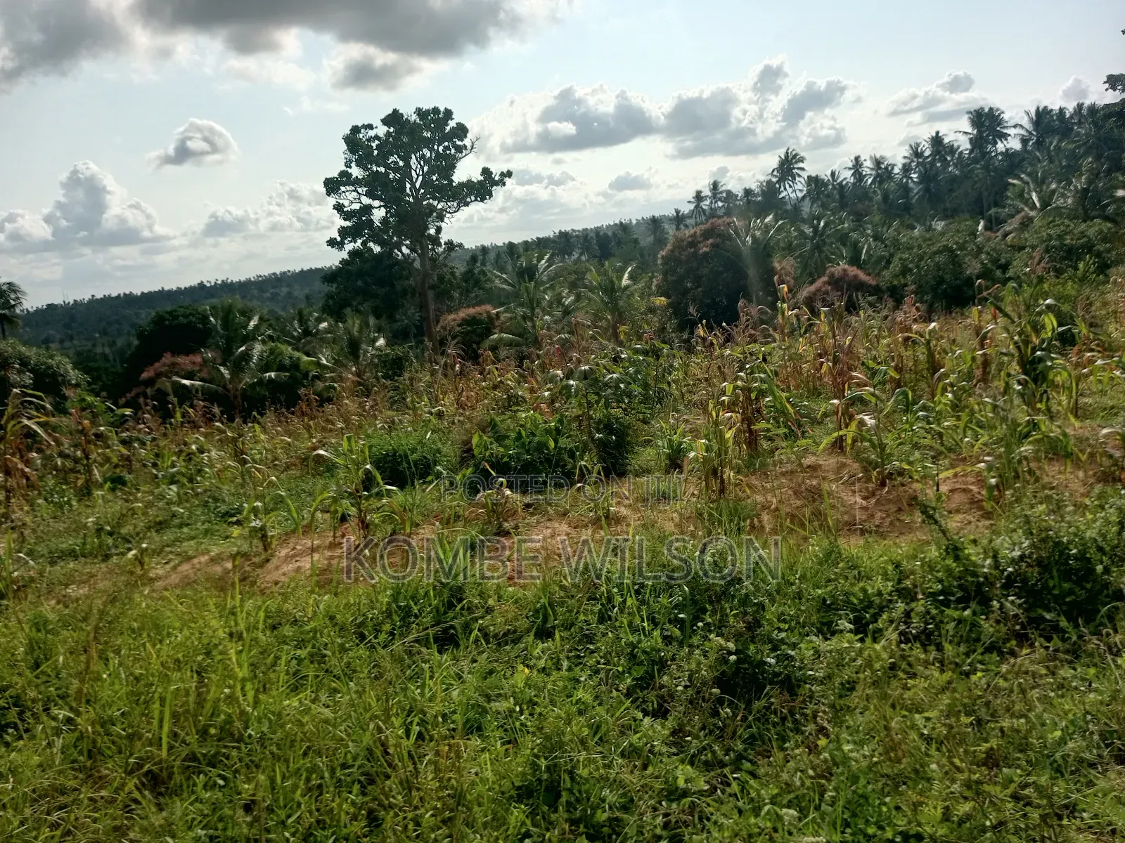 Land for Sale Kaloleni Vuga
