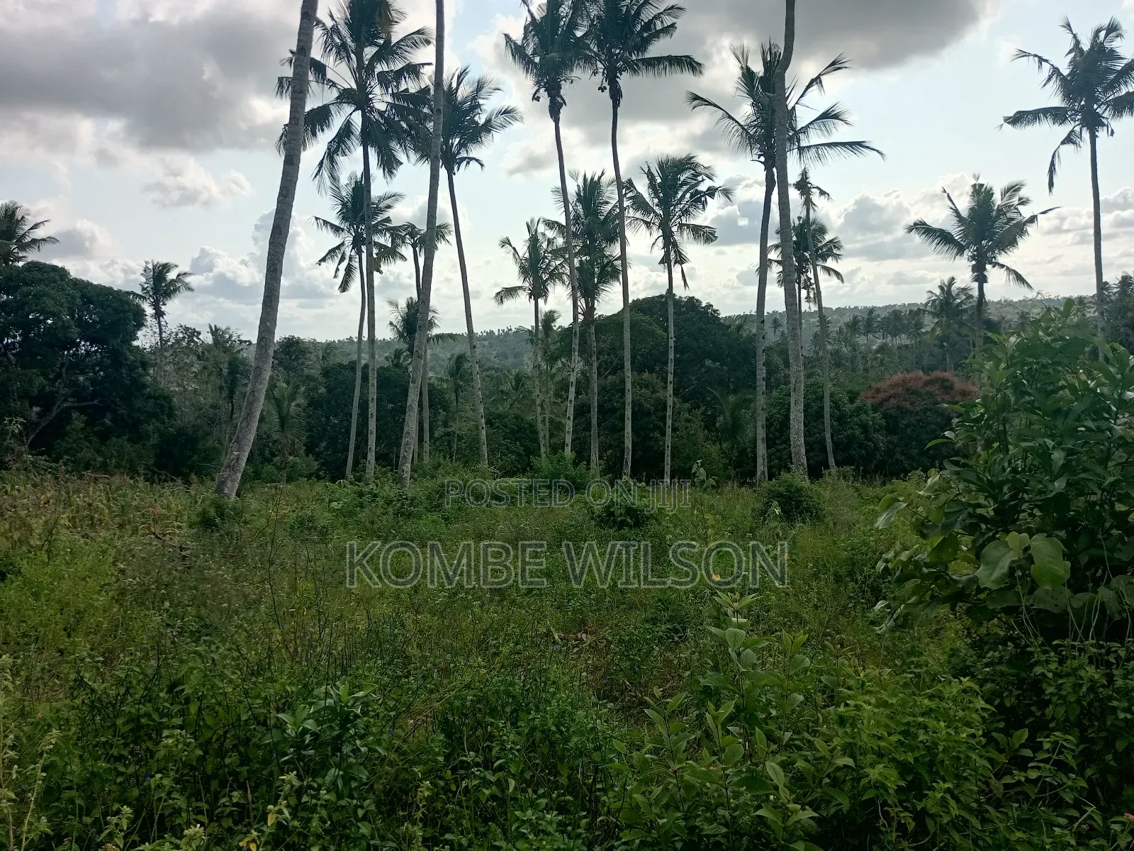Land for Sale Kaloleni Vuga