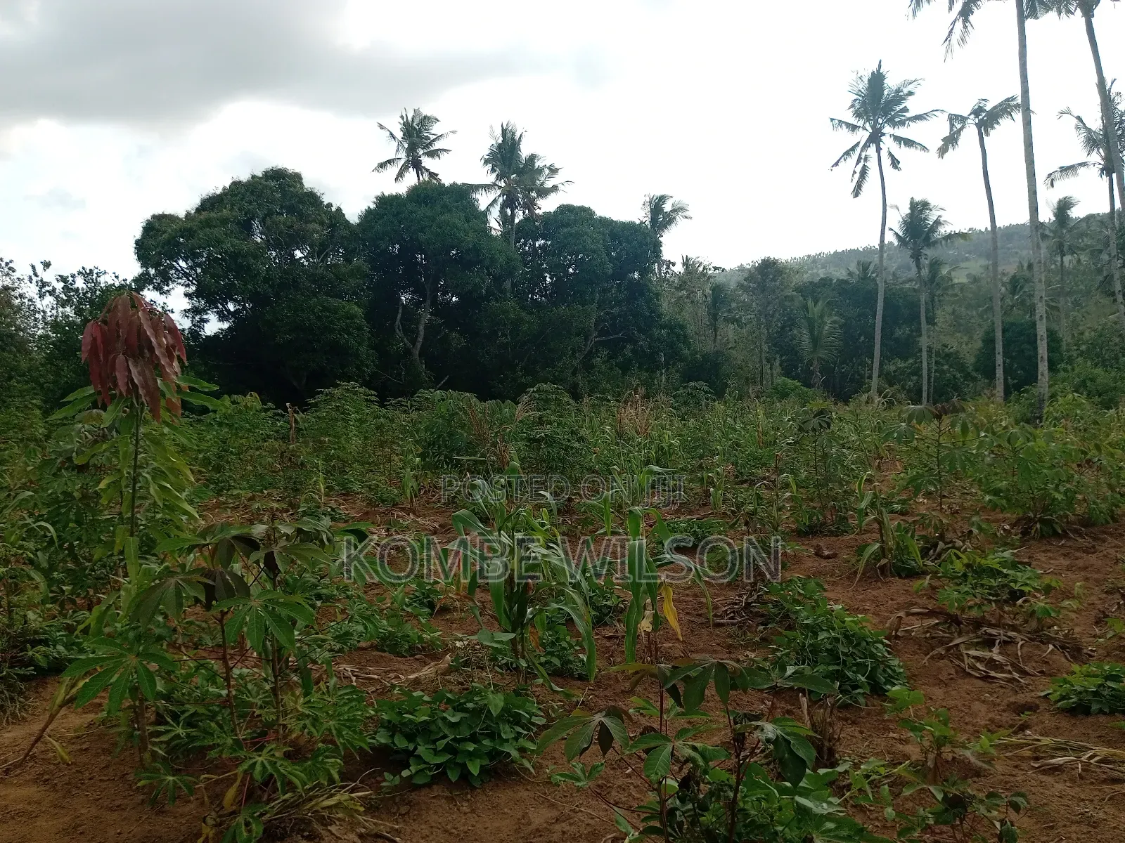 Land for Sale Kaloleni Vuga