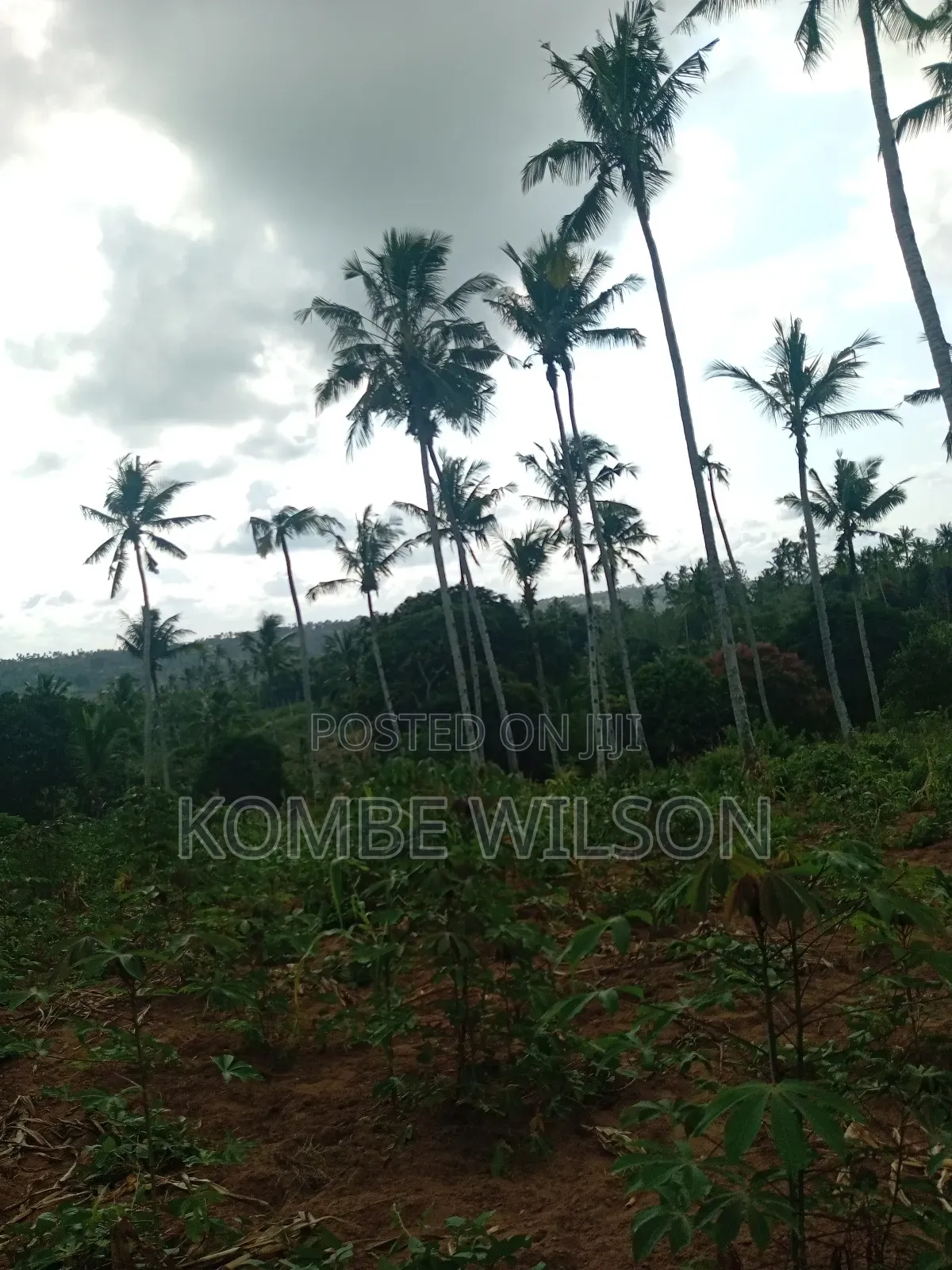 Land for Sale Kaloleni Vuga