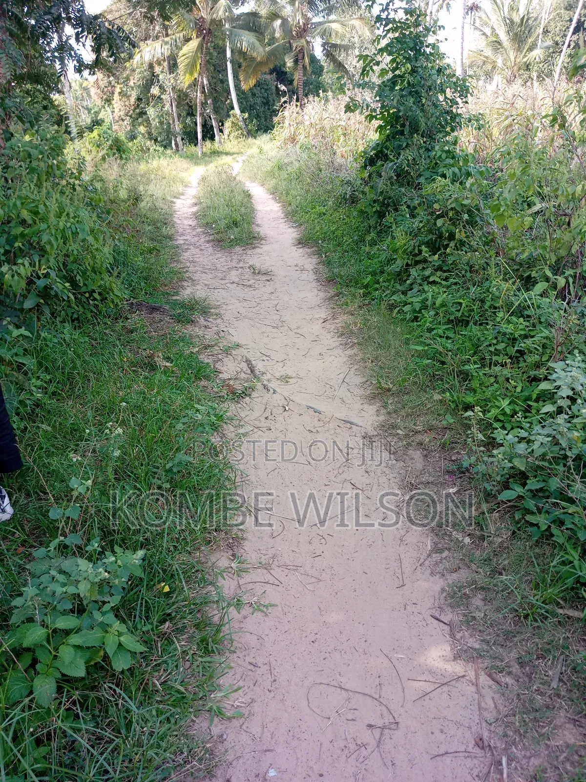 Land for Sale Kaloleni Vuga