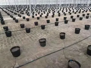 Garden Irrigation