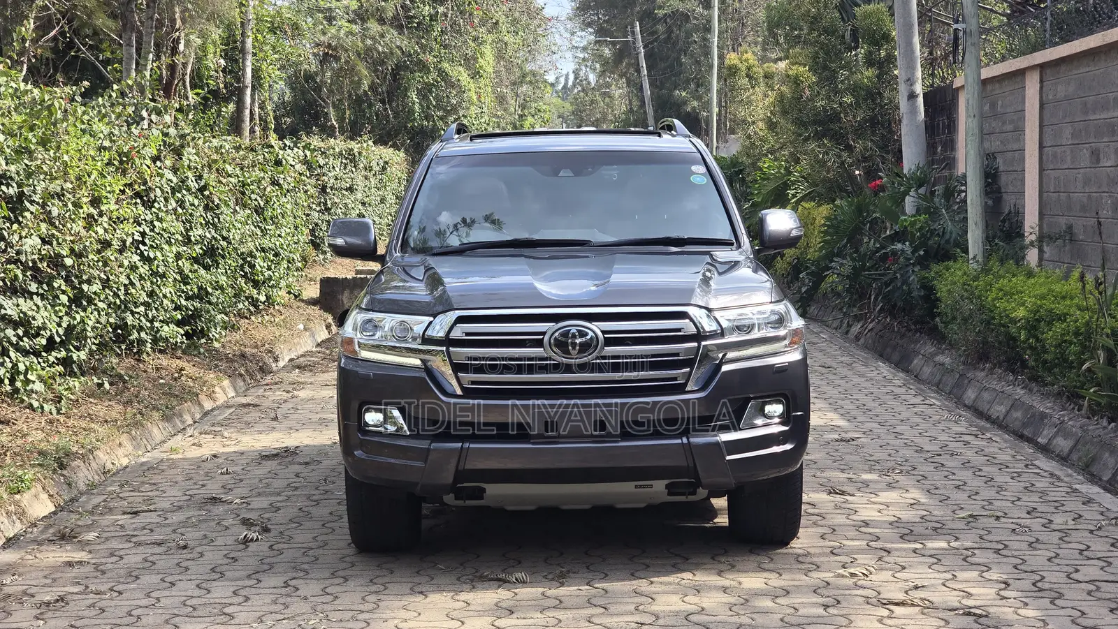Toyota Land Cruiser 4.6 V8 ZX 2020 Gray