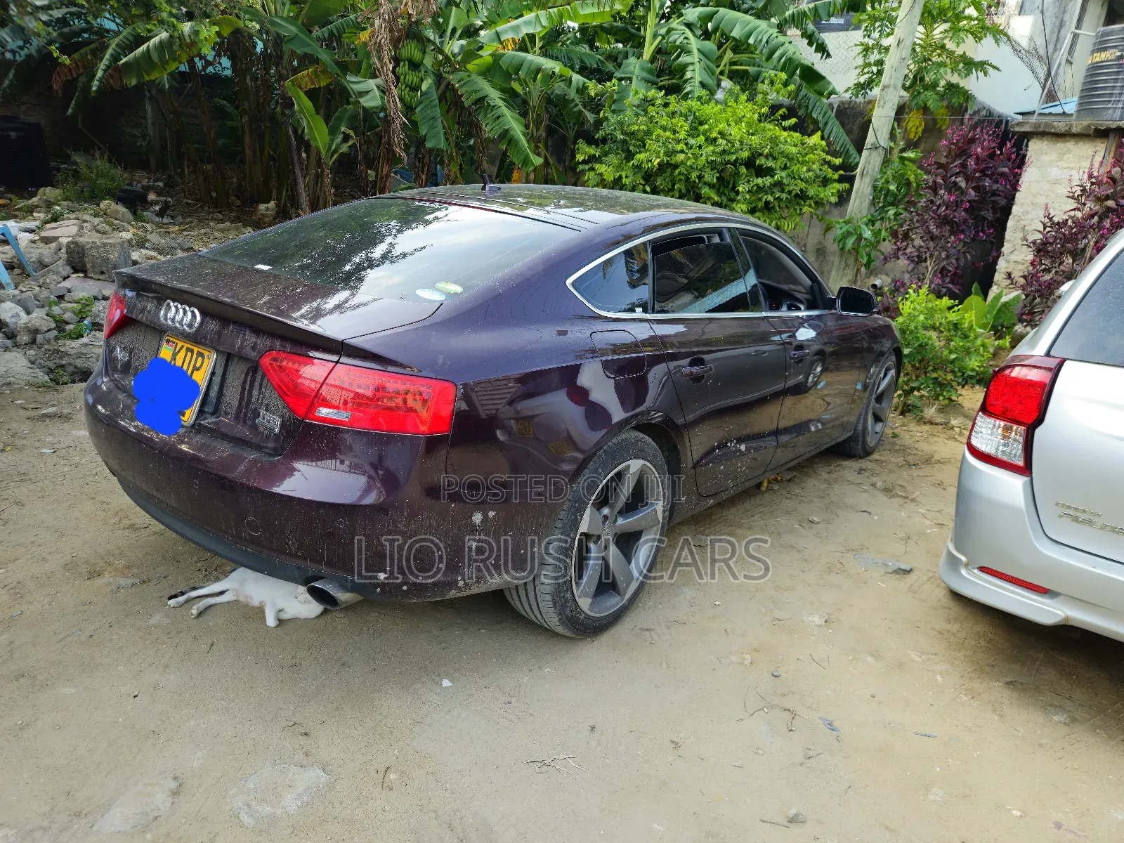 Audi A5 2017 Red