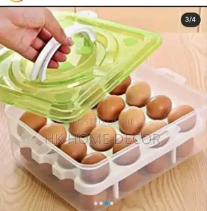 Egg Tray Container