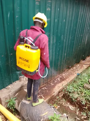 Friendly Fumigation in Houses
