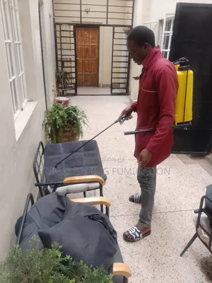 Office Fumigation Against Cockroaches and Bedbugs