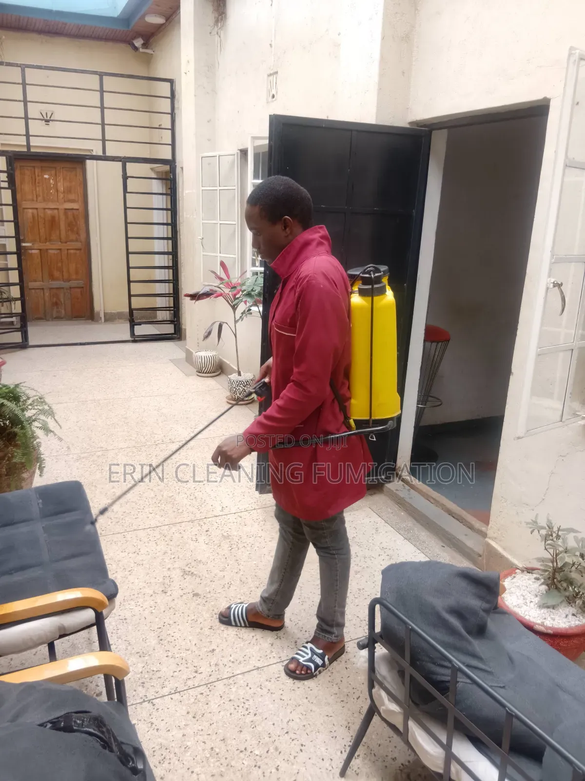 Office Fumigation Against Cockroaches and Bedbugs