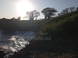 Beach Plots for Sale at Shimoni - thumbnail 2