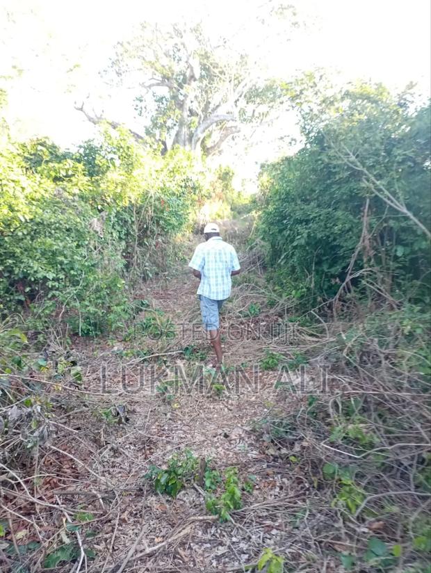 Beach Plots for Sale at Shimoni - thumbnail 4