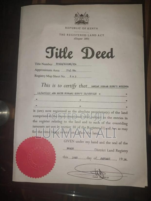 Beach Plots for Sale at Shimoni - thumbnail 6