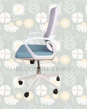 Quality Chair Posture Mesh Office | Comfort Meets Style