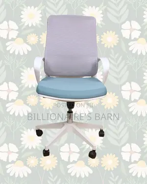 Quality Chair Posture Mesh Office | Comfort Meets Style