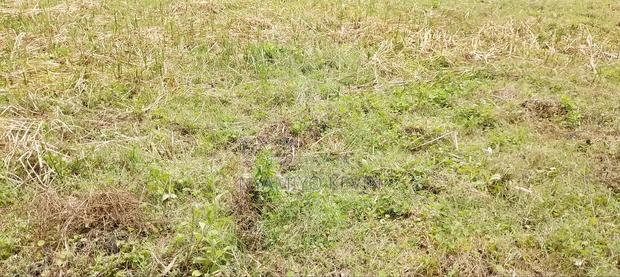 Bondo Gorofani Plot for Sale - thumbnail 2