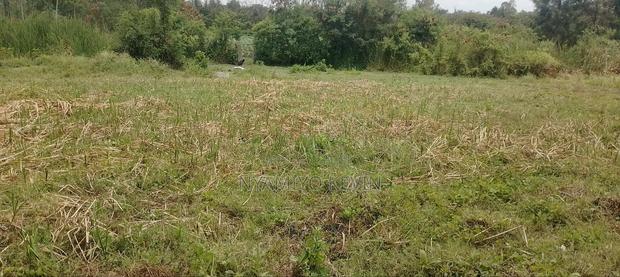 Bondo Gorofani Plot for Sale - thumbnail 3