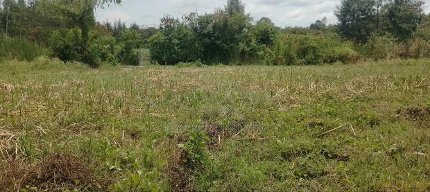 Bondo Gorofani Plot for Sale - thumbnail 5